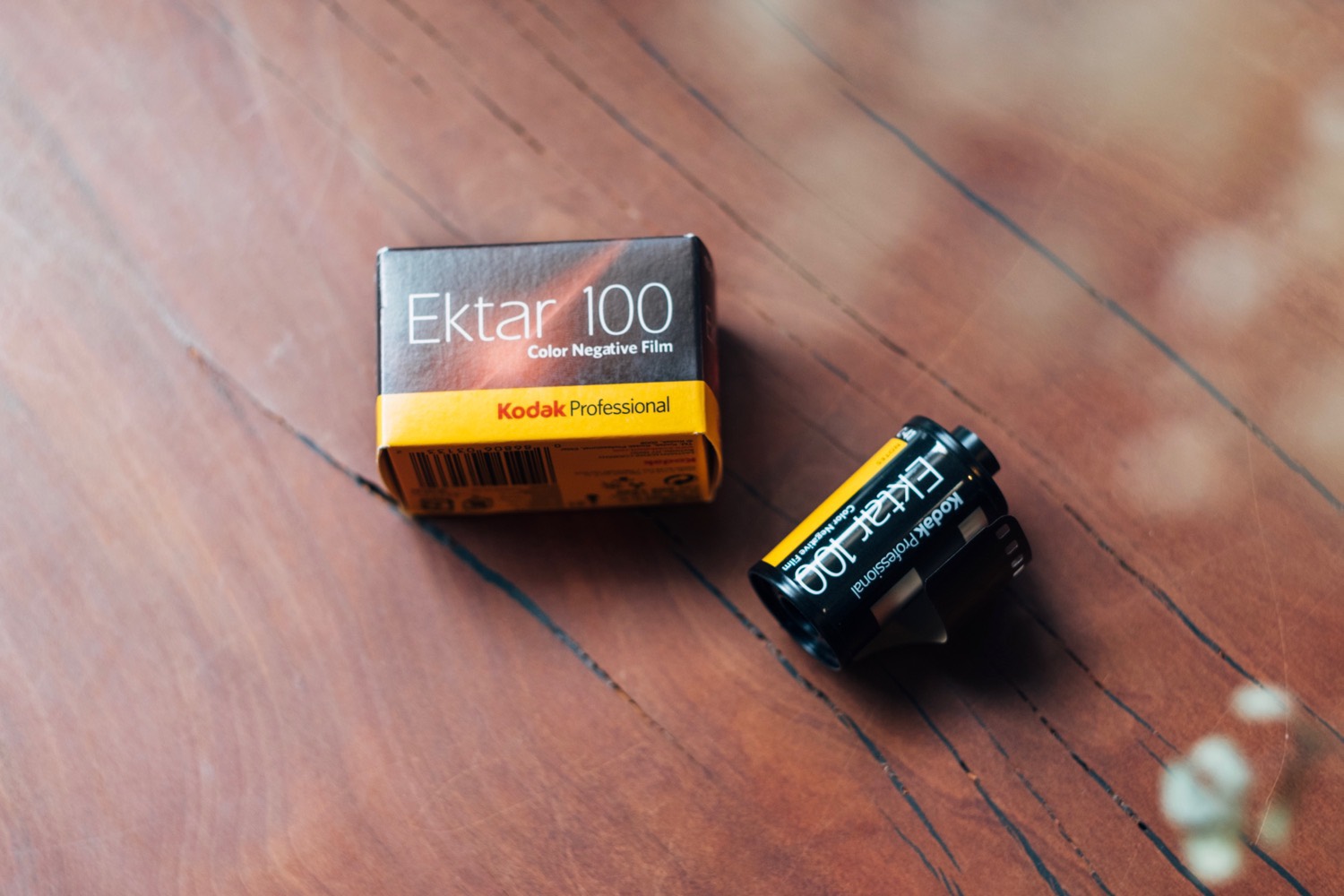 Kodak Ektar 100の作例・レビュー。風景を鮮やかに彩るコダックのプロ用フィルム DRESS CODE.（ドレスコード）